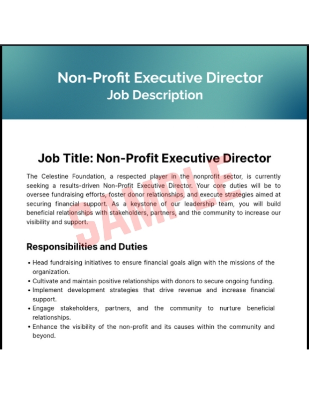Non Executive Director Job Description Template