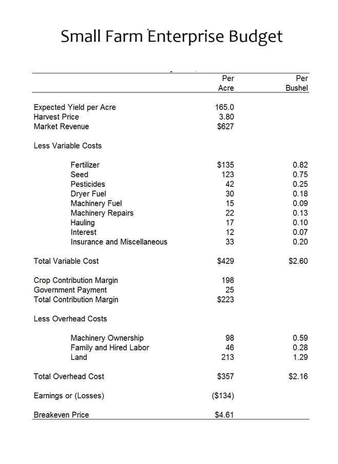 Small Farm Enterprise Budget Template